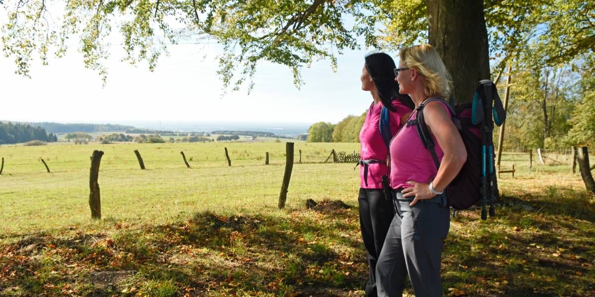 Wandern in Altenbeken © Teutoburger Wald Tourismus / F. Grawe